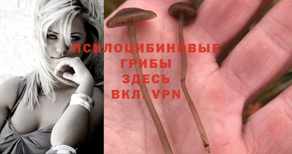 mdpv Алзамай