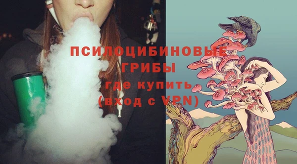 бошки Усмань