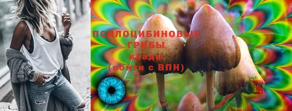 2c-b Алексин