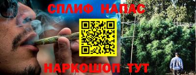 трава Апшеронск