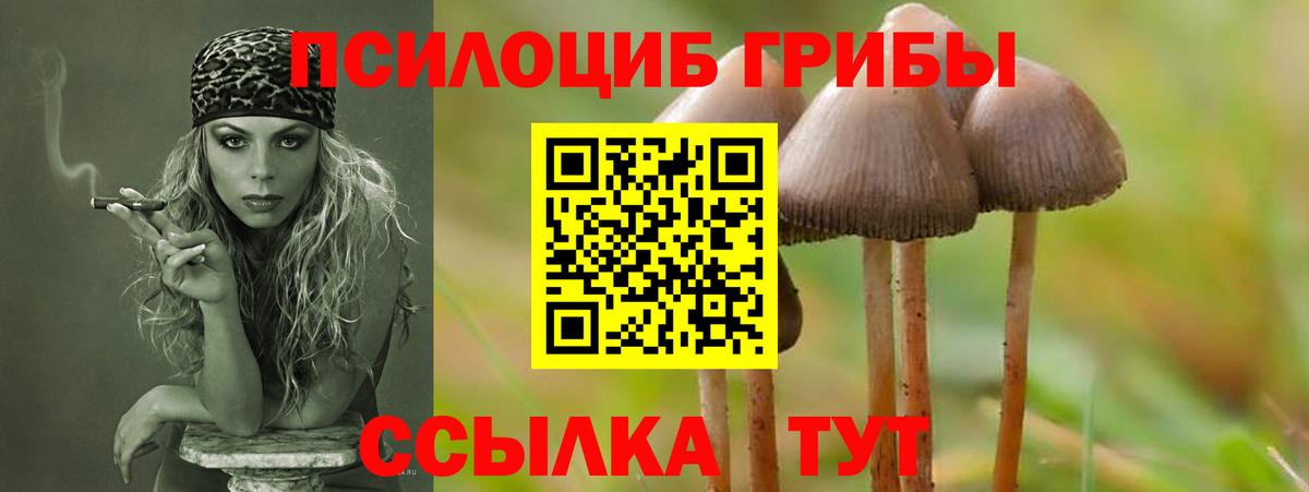 Галлюциногенные грибы ЛСД  где можно купить   Белгород  Вход с VPN 