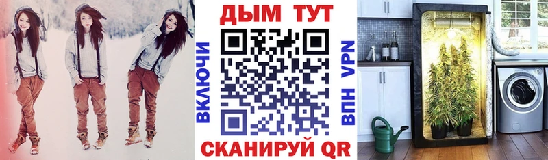 Бошки Шишки планчик Белгород
